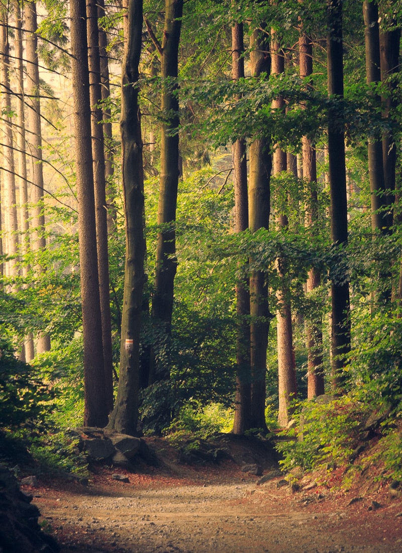 Naturaleza